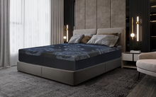 Load image into Gallery viewer, Twilight Firm 12&quot; Premium Memory Foam
