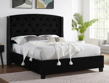 Load image into Gallery viewer, EVA DAY BED (3 COLORS)
