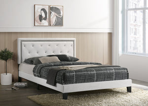 WHITE LEATHER PLATFORM BEAUTY BED